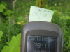 Thumbnail IMG_8381.JPG 