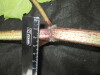 Thumbnail IMG_3312.JPG 