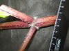 Thumbnail IMG_3317.JPG 