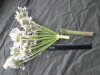 Thumbnail IMG_3321.JPG 