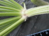 Thumbnail IMG_3322.JPG 