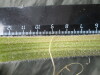 Thumbnail IMG_3323.JPG 