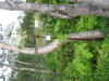 Thumbnail IMG_8408.JPG 