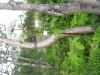 Thumbnail IMG_8409.JPG 