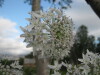 Thumbnail IMG_8412.JPG 