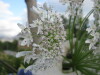 Thumbnail IMG_8413.JPG 