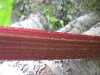 Thumbnail IMG_8416.JPG 