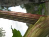 Thumbnail IMG_8419.JPG 
