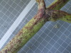 Thumbnail IMG_0644.JPG 
