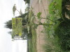 Thumbnail IMG_0794.JPG 