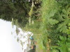 Thumbnail IMG_0799.JPG 