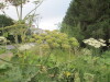 Thumbnail IMG_0804.JPG 