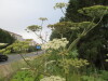 Thumbnail IMG_0814.JPG 