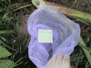 Thumbnail IMG_0819.JPG 