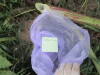 Thumbnail IMG_0820.JPG 