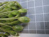 Thumbnail IMG_0832.JPG 