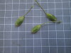 Thumbnail IMG_0834.JPG 