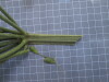 Thumbnail IMG_0836.JPG 