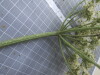 Thumbnail IMG_0847.JPG 