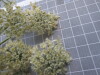 Thumbnail IMG_0852.JPG 