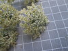 Thumbnail IMG_0853.JPG 