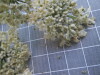 Thumbnail IMG_0859.JPG 