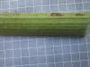 Thumbnail IMG_0867.JPG 