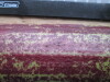 Thumbnail IMG_3453.JPG 