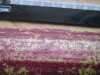 Thumbnail IMG_3454.JPG 