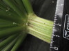 Thumbnail IMG_3472.JPG 