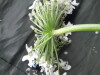 Thumbnail IMG_3476.JPG 