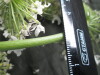 Thumbnail IMG_3478.JPG 