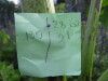 Thumbnail IMG_8388.JPG 
