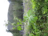 Thumbnail IMG_8392.JPG 