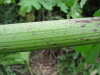 Thumbnail IMG_8402.JPG 