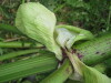 Thumbnail IMG_8404.JPG 