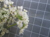 Thumbnail 2021-07-24_14.27.57.JPG 