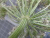 Thumbnail 2021-07-24_14.28.34.JPG 