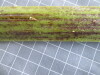 Thumbnail 2021-07-24_14.34.46.JPG 