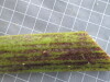 Thumbnail 2021-07-24_14.34.53.JPG 