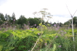 Thumbnail IMG_8353.JPG 