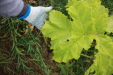 Thumbnail IMG_8358.JPG 