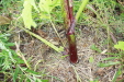 Thumbnail IMG_8359.JPG 