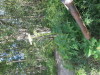 Thumbnail IMG_1094.JPG 