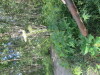 Thumbnail IMG_1097.JPG 