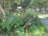Thumbnail IMG_1098.JPG 