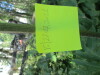Thumbnail IMG_1108.JPG 