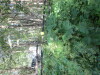 Thumbnail IMG_1109.JPG 