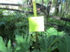 Thumbnail IMG_1122.JPG 