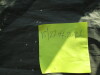 Thumbnail IMG_2099.JPG 